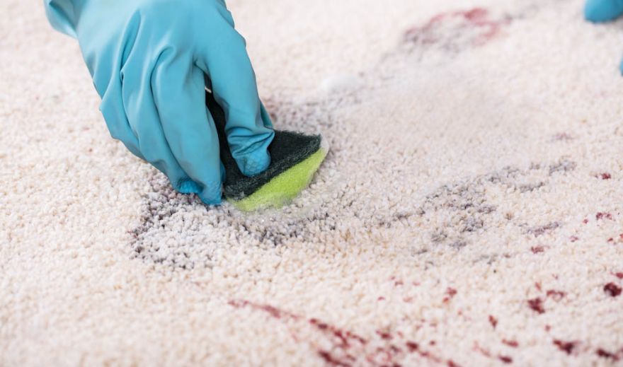 Carpet Stain Removal Veteran And Tile Cleaning
