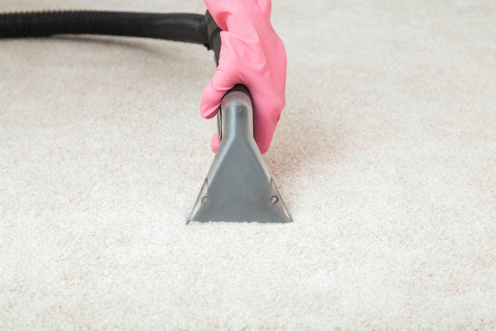 Carpet Protection Service Near Me_Veterans Carpet Cleaners LLC_(