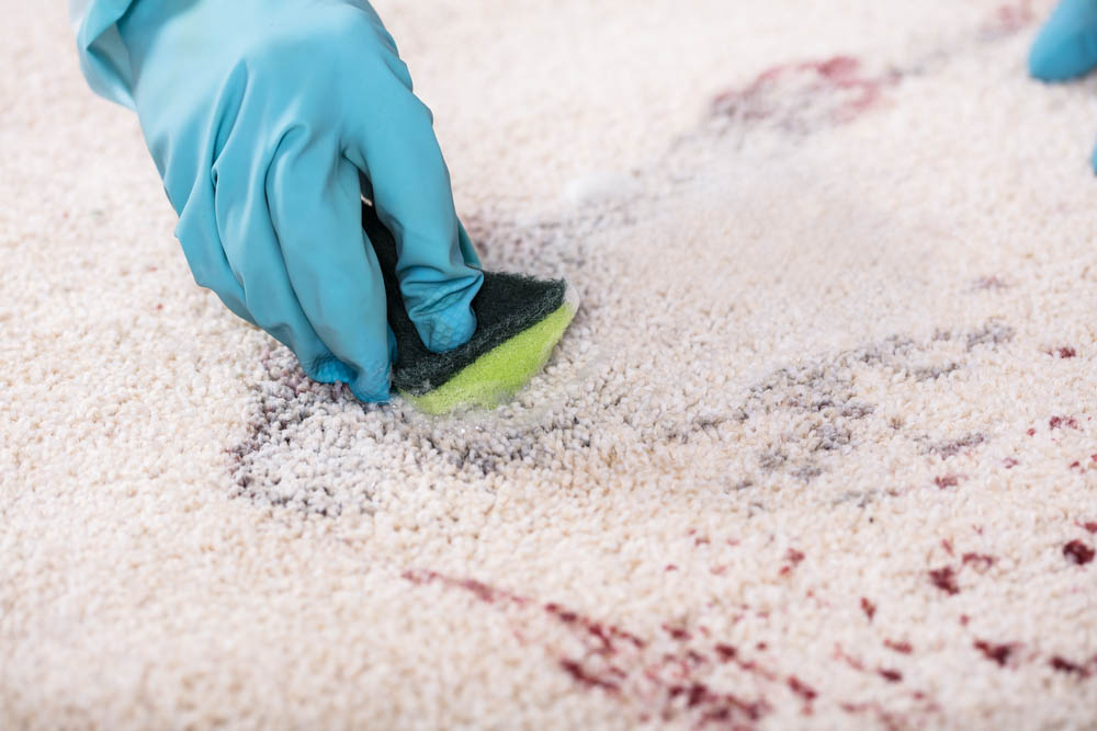 Carpet Protection_Veterans Carpet Cleaners LLC_(850) 999 7006_Milton FL