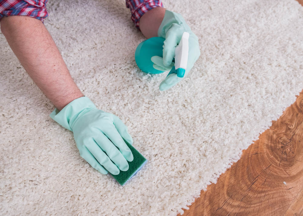 Carpet Sanitizing Service Near Me_Veterans Carpet Cleaners LLC_(850) 999 7006_Milton FL