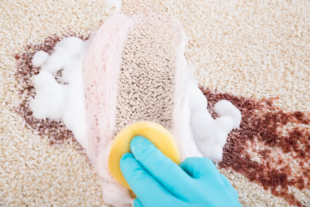 Carpet Stain Removal Near Me_Veterans Carpet Cleaners LLC_(850)
