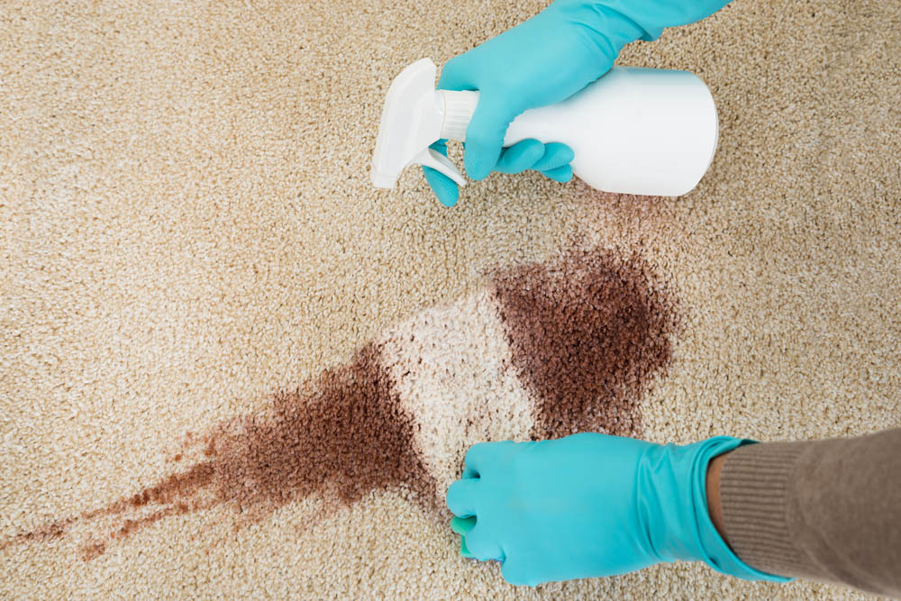 Carpet Stain Removal Service_Veterans Carpet Cleaners LLC_(850)