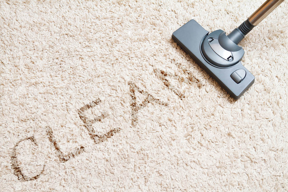 Rug Cleaning Services_Veterans Carpet Cleaners LLC_(850) 999 700