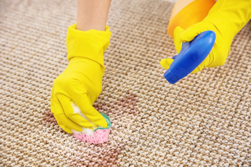 Specialty Stain Removal Near Me_Veterans Carpet Cleaners LLC_(85