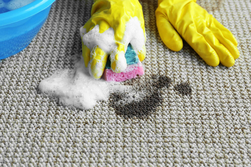 Specialty Stain Removal Services Near Me_Veterans Carpet Cleaner