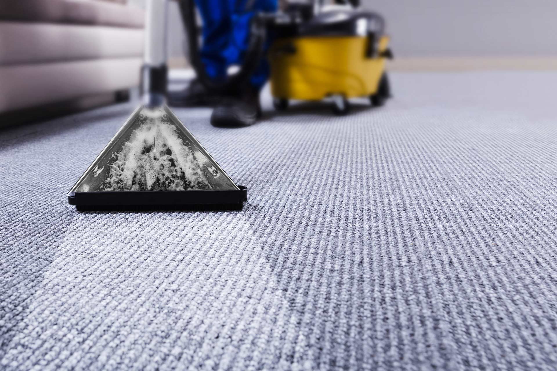 DIY or Professional: Which is the Best Carpet Cleaning Option?