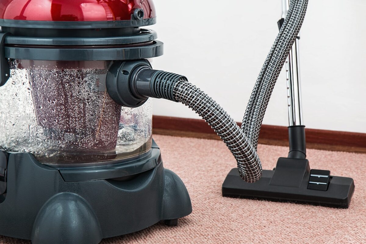 DIY or Professional: Which is the Best Carpet Cleaning Option?