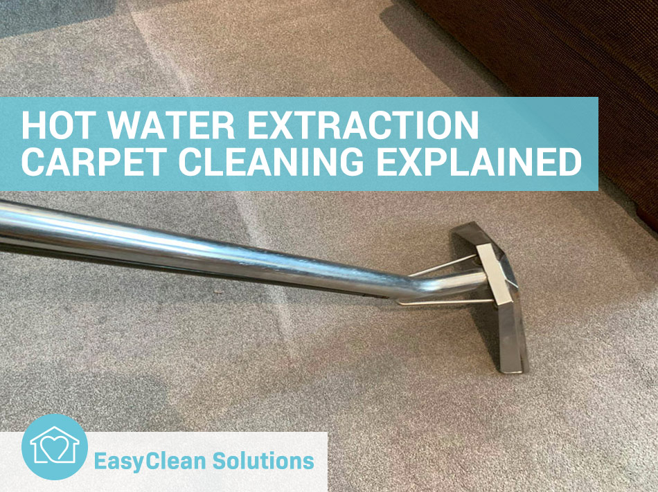 Experience the Power of Hot Water Extraction for Exceptional Carpet Cleaning Results