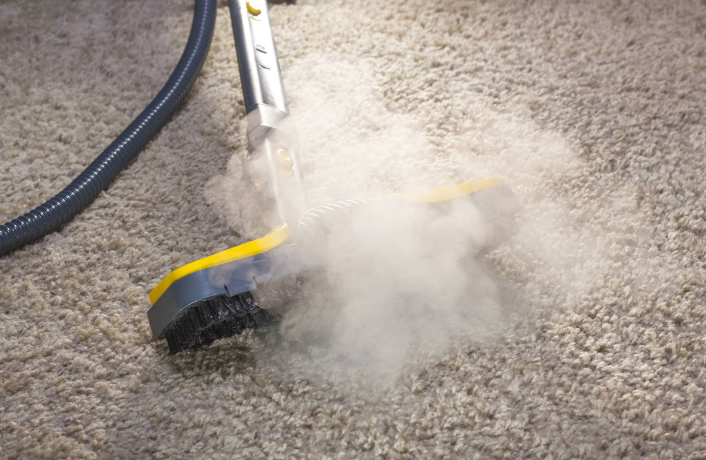 Professional Absorbent Compound Cleaning Services