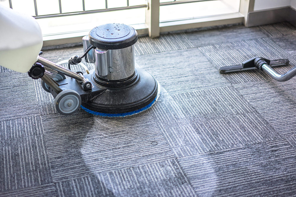 Quality Shampooing Services for Carpet Cleaning