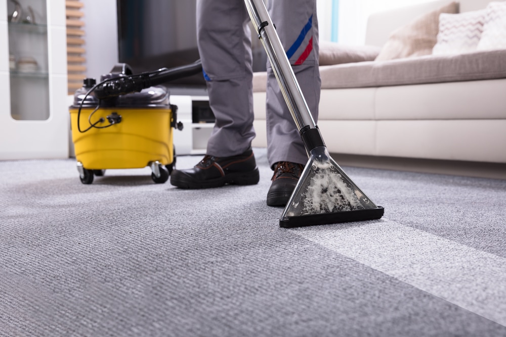 Quality Shampooing Services for Carpet Cleaning