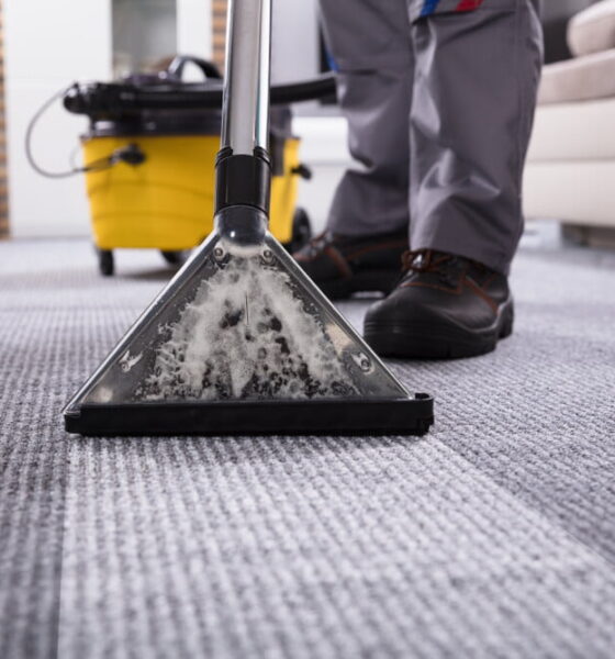 Carpet Cleaning Eco-friendly And Safe Cleaning Ultimate Guide