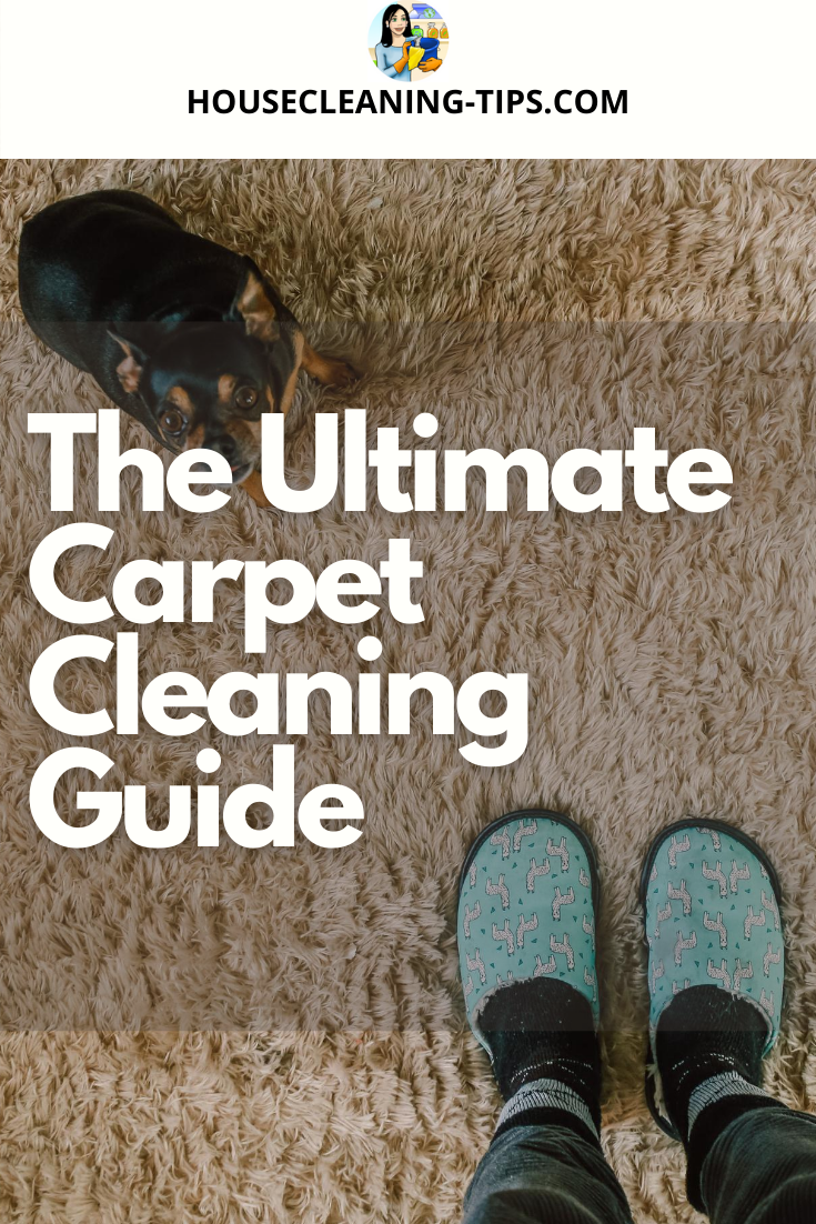 Carpet Cleaning Everyday Maintenance Ultimate Guide Carpet Cleaning Everyday Maintenance Ultimate Guide