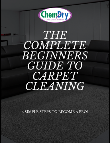 Carpet Cleaning Everyday Maintenance Ultimate Guide Carpet Cleaning Everyday Maintenance Ultimate Guide