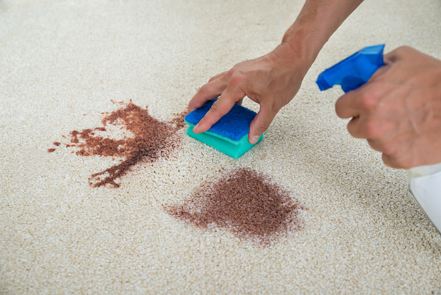 Carpet Stain Removal Ultimate Guide