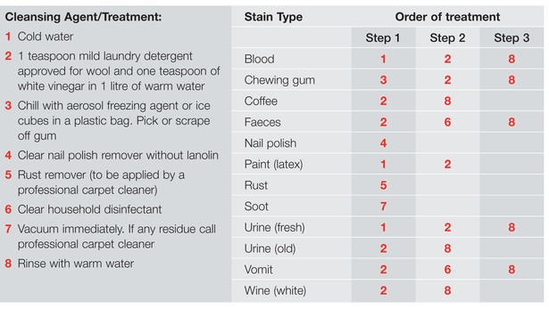 Carpet Stain Removal Ultimate Guide