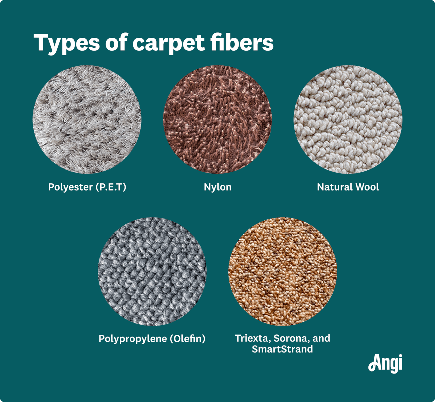 Common Carpet Materials (Wool, Nylon, Polyester, Olefin)
