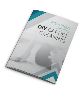 DIY Carpet Cleaning Ultimate Guide - Veteran Carpet and Tile Cleaning