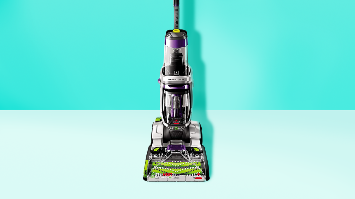 DIY or Professional: Which is the Best Carpet Cleaning Option?