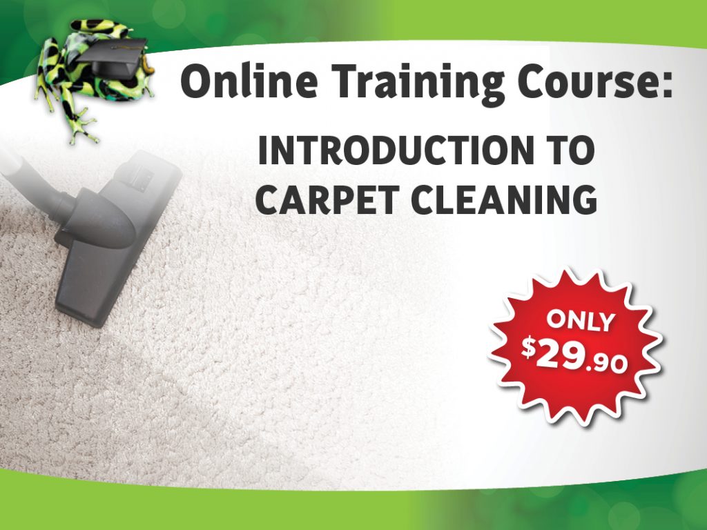 Introduction to Carpet Cleaning Services