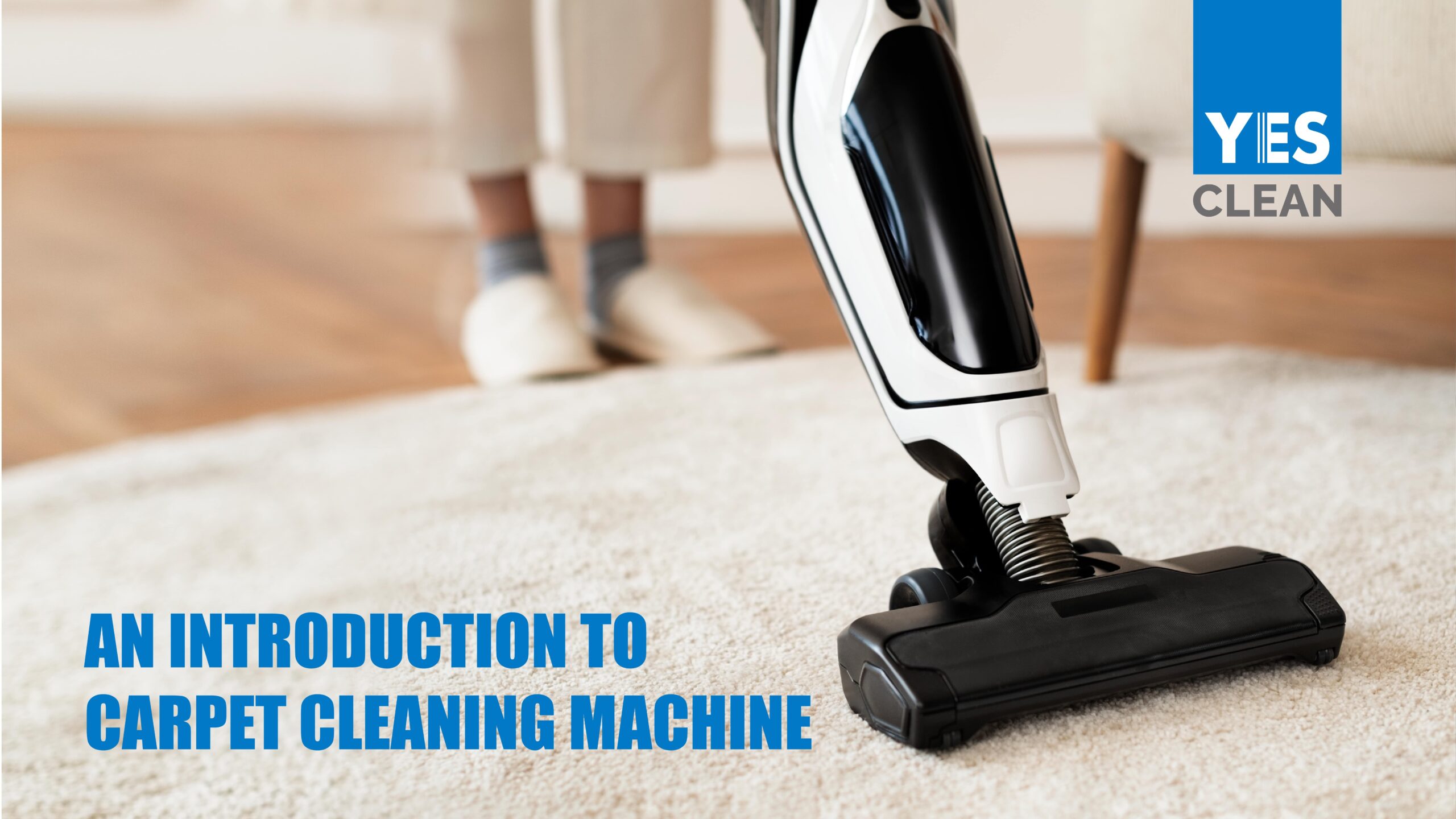 Introduction to Carpet Cleaning Services