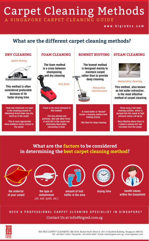 Introduction To Carpet Cleaning Ultimate Guide Veteran Carpet And