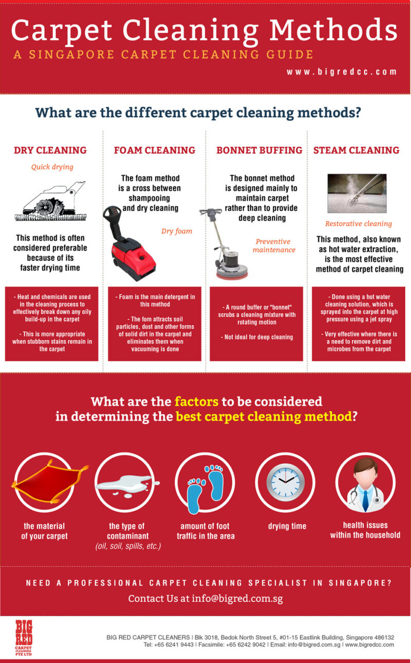 Introduction To Carpet Cleaning Ultimate Guide - Veteran Carpet and ...