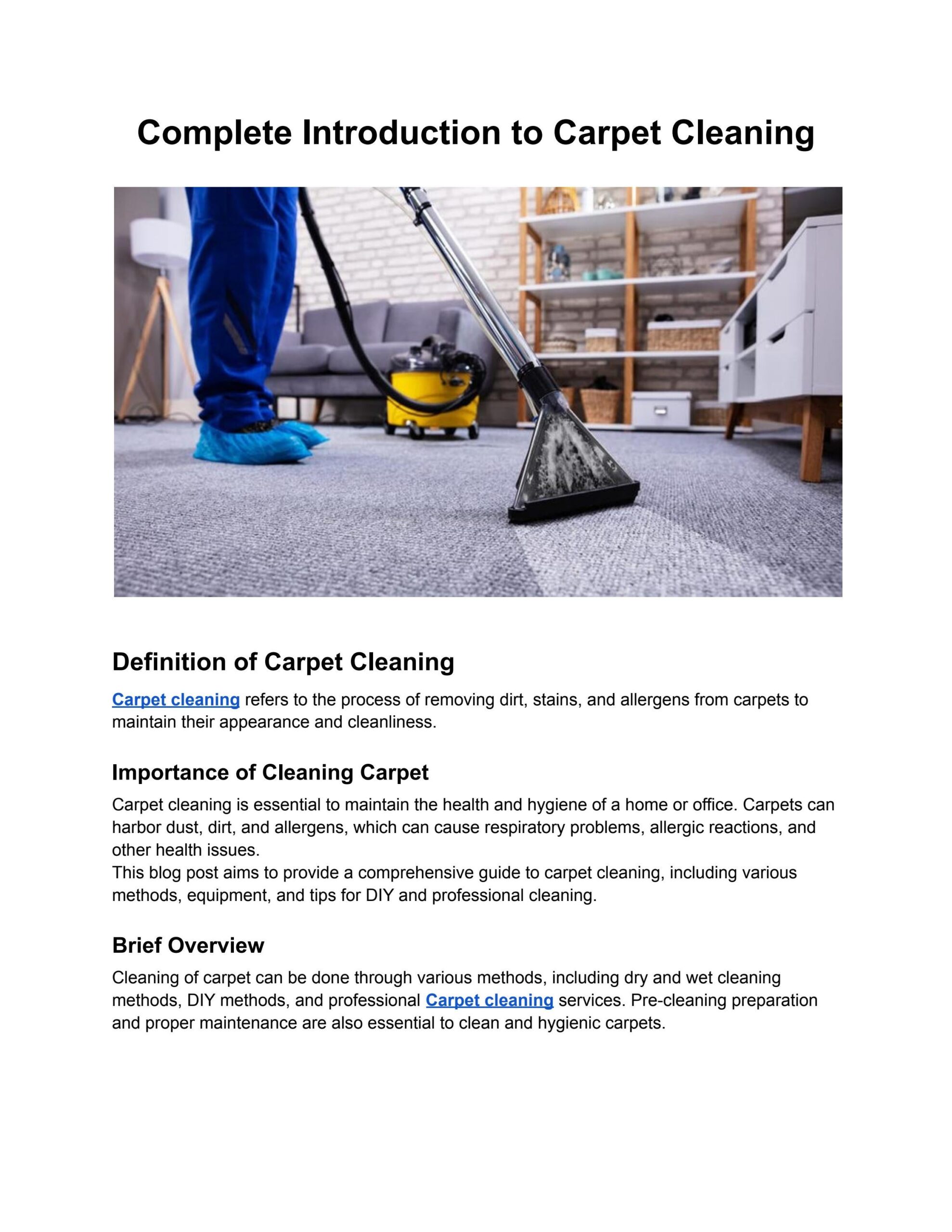 Introduction To Carpet Cleaning Ultimate Guide