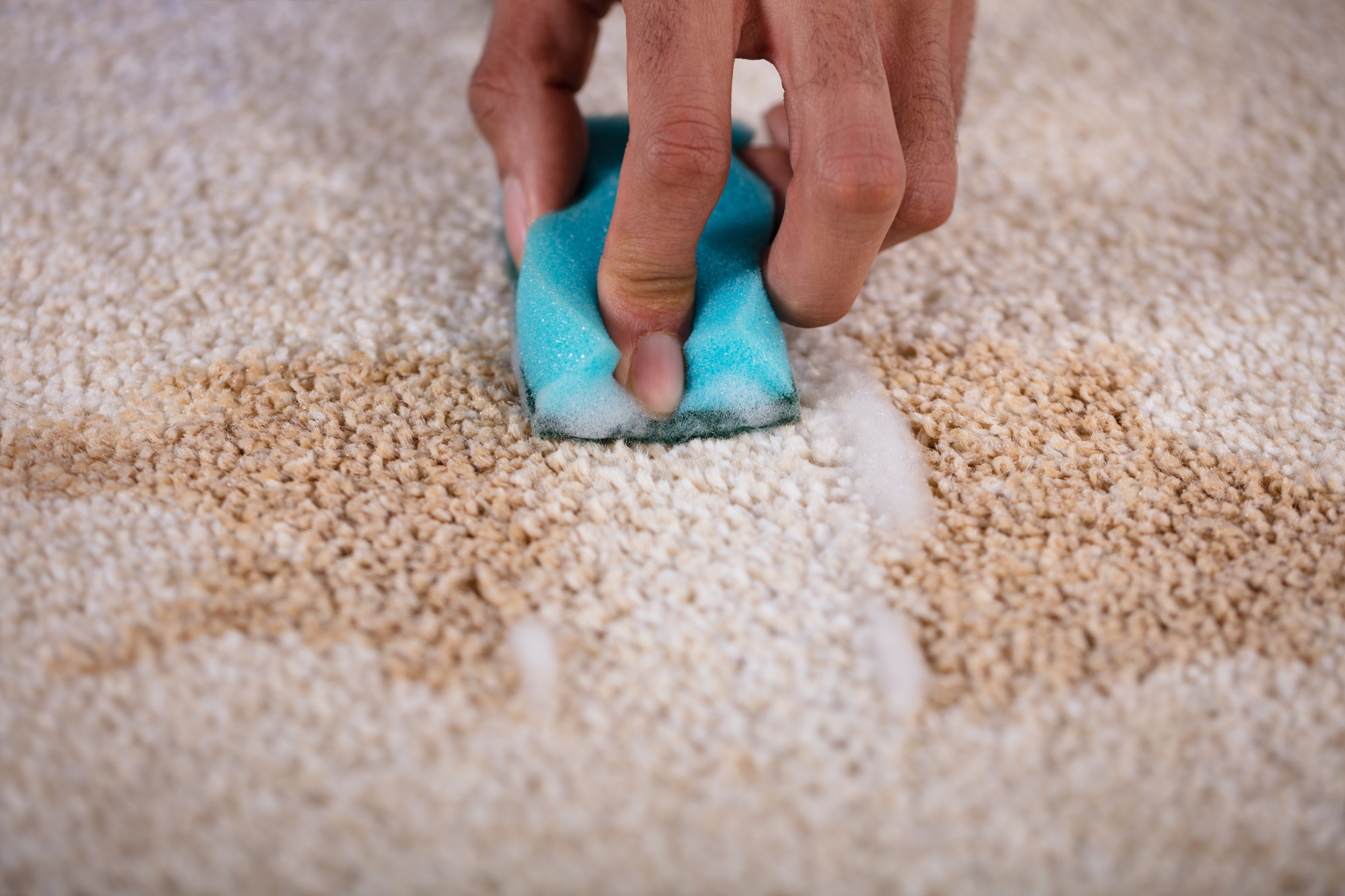 Step-by-step Methods For Tackling Tough Carpet Stains