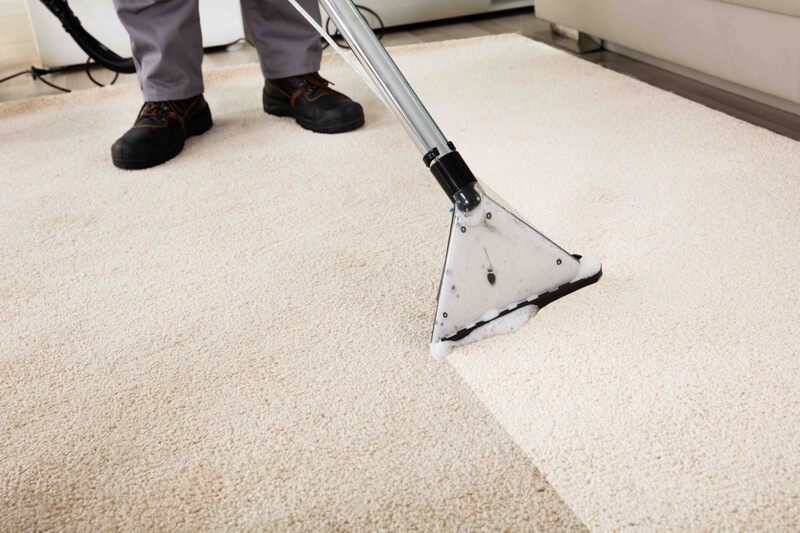 The Importance Of Regular Carpet Cleaning