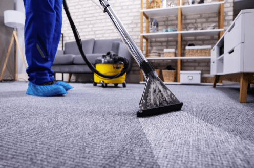 The Importance Of Regular Carpet Cleaning