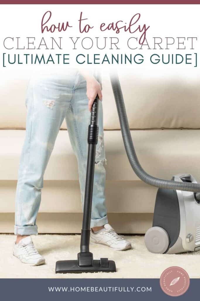 The Process And Equipment Of Carpet Steam Cleaning Comprehensive Guide The Process And Equipment Of Carpet Steam Cleaning Comprehensive Guide