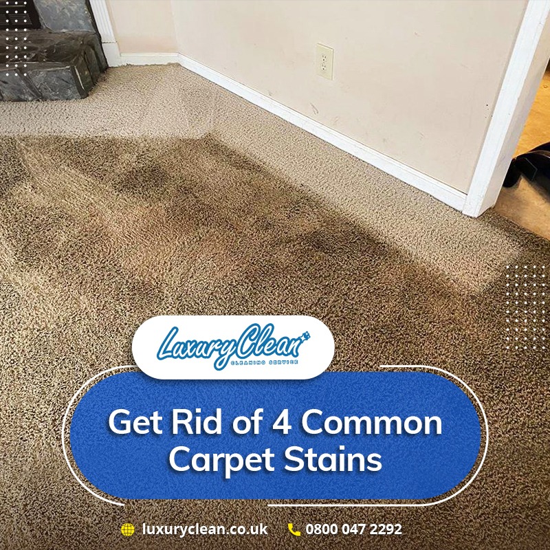 Understanding Common Household Carpet Stains