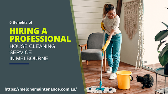 Understanding The Benefits Of Professional Cleaning