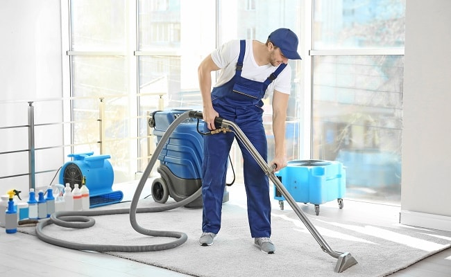 When To Hire A Professional Carpet Cleaner Ultimate Guide